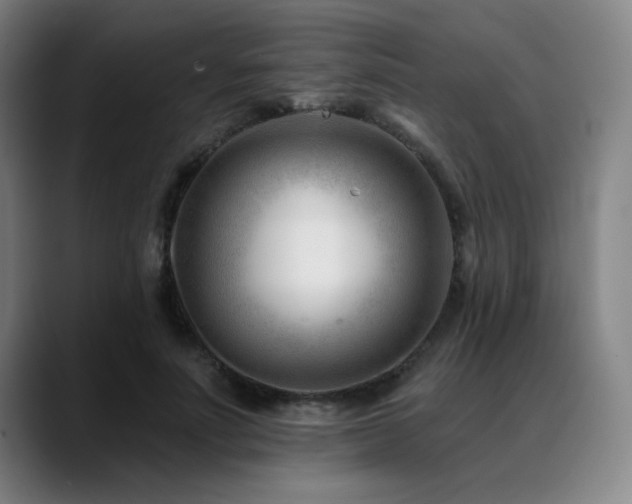 X0000089440691200706151414