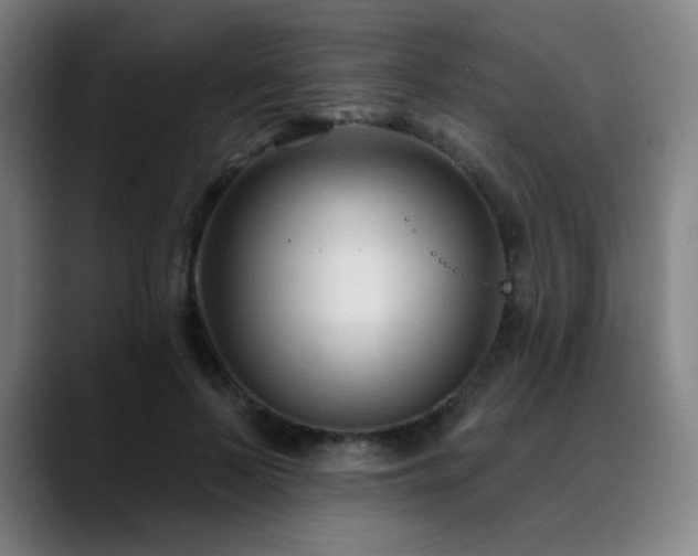 X0000089440695200706151414