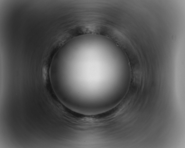 X0000089440699200706151414