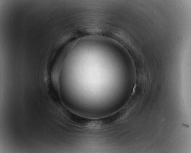 X0000089440700200706151414