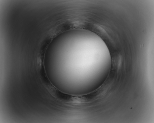 X0000089440703200706151414