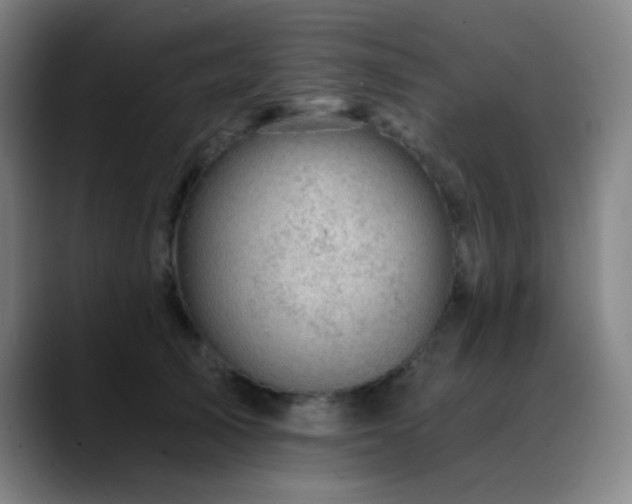 X0000089440705200706151414