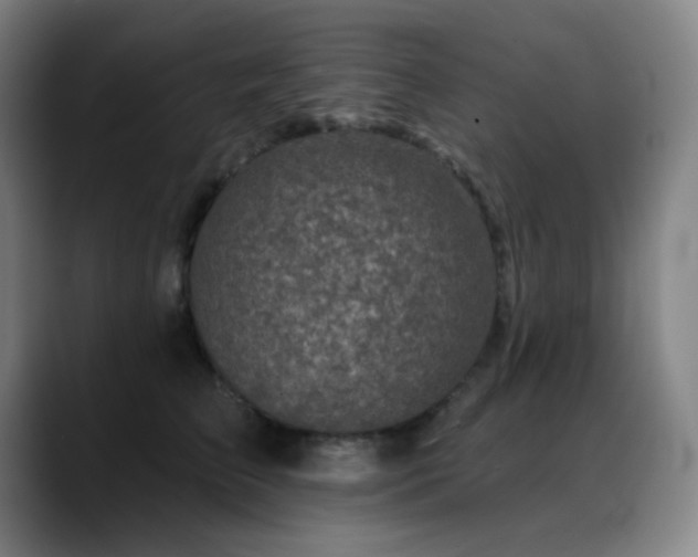 X0000089440709200706151413