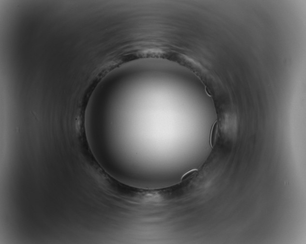X0000089440715200706151413