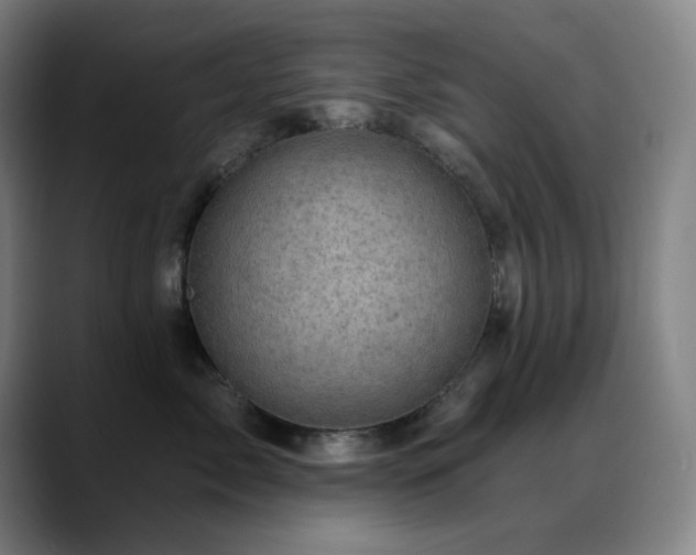 X0000089440717200706151413