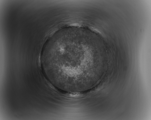 X0000089440720200706151413