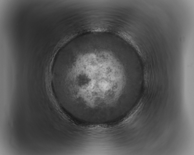 X0000089440721200706151413