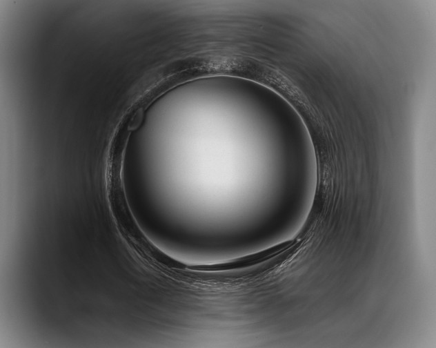 X0000089440722200706151413