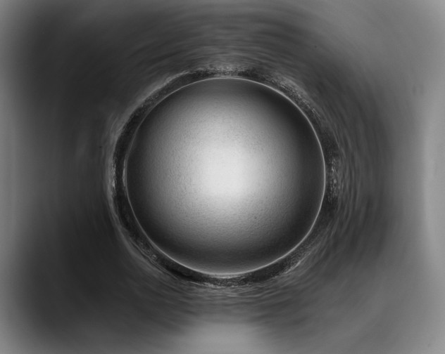 X0000089440726200706151413