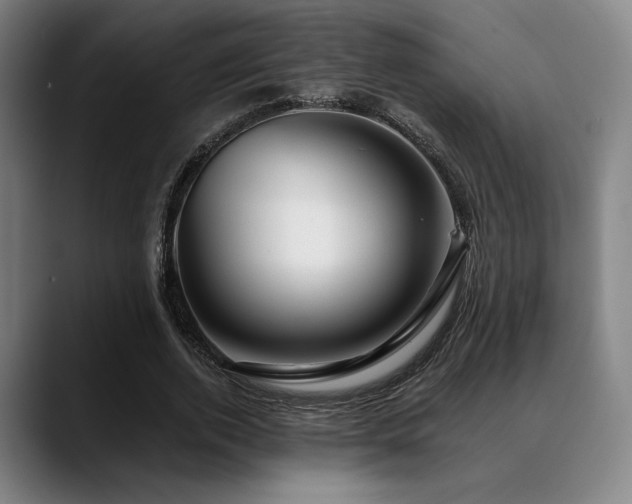 X0000089440728200706151413