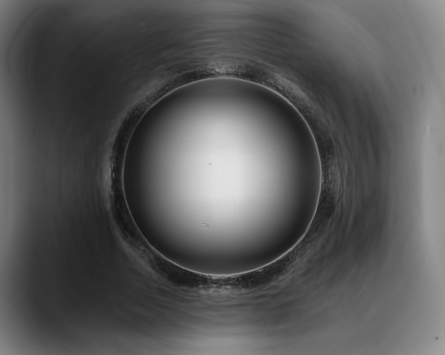 X0000089440730200706151413