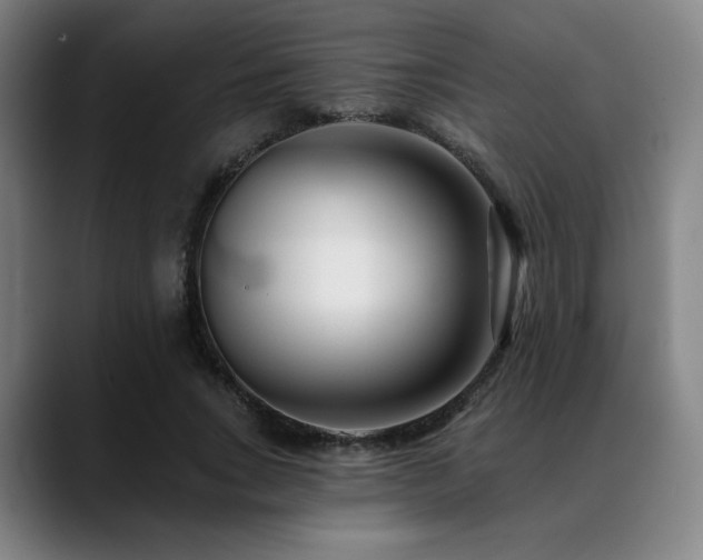 X0000089440735200706151413