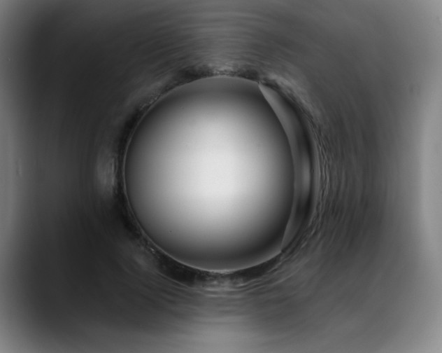 X0000089440740200706151413