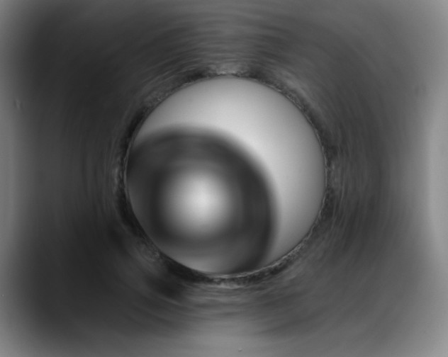 X0000089440741200706151413