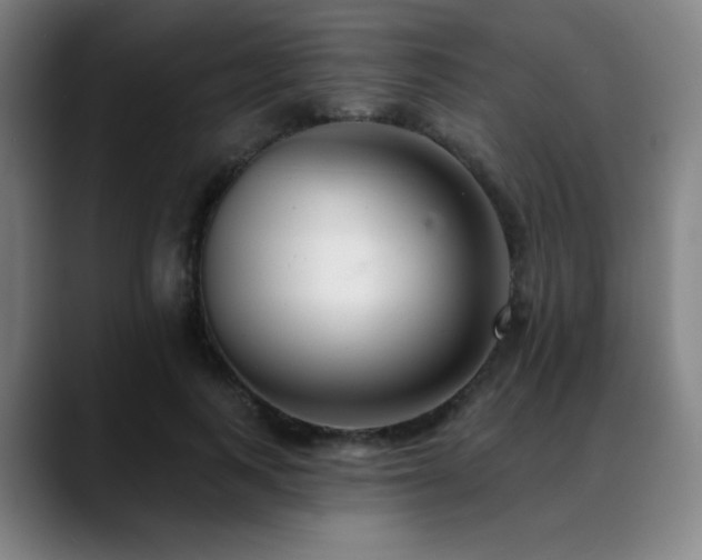 X0000089440743200706151413