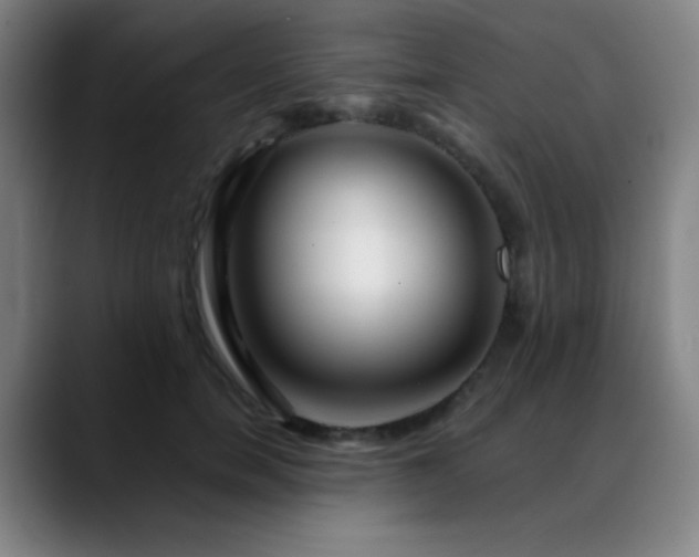 X0000089440750200706151413