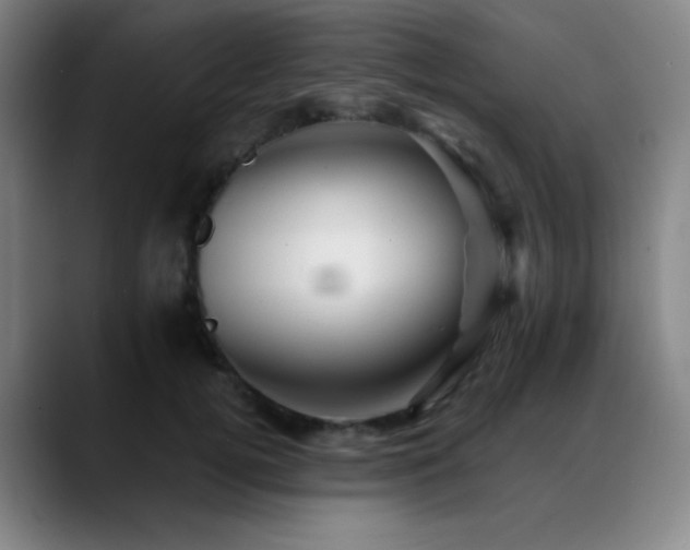 X0000089440752200706151413