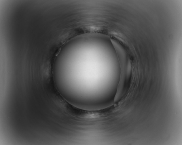 X0000089440760200706151413