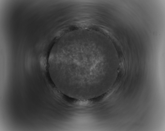 X0000089440767200706151413