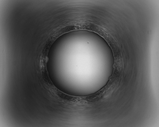 X0000089440770200706151413
