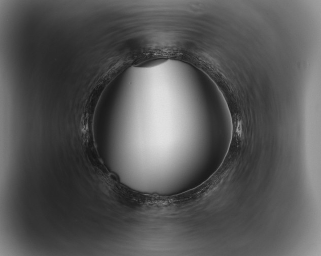 X0000089440771200706151413