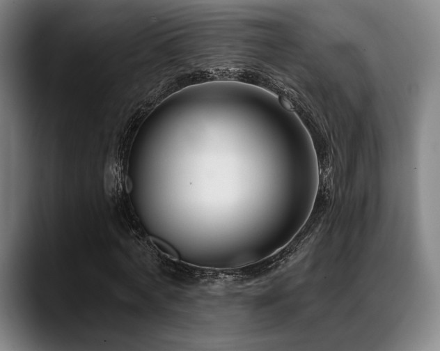 X0000089440772200706151413