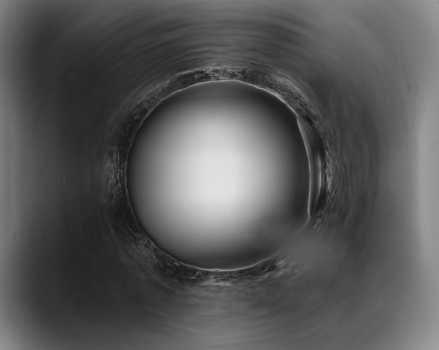 X0000089440773200706151413
