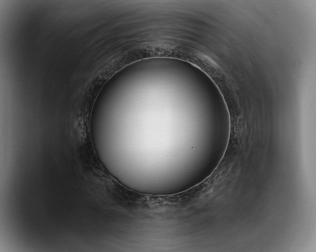 X0000089440774200706151413