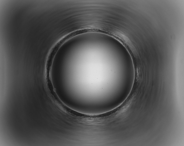 X0000089440780200706151413