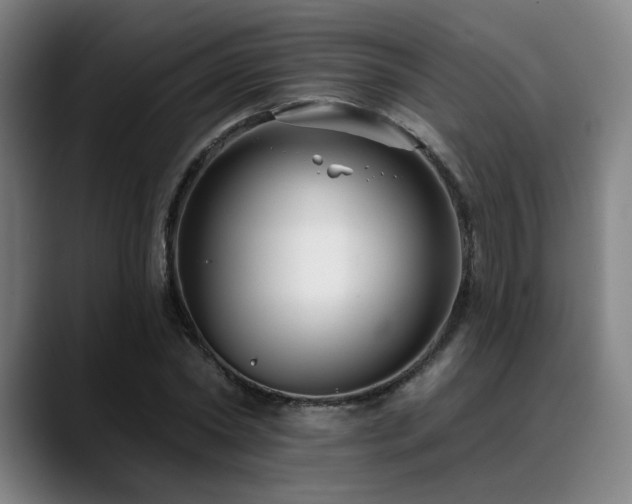 X0000089440782200706151413