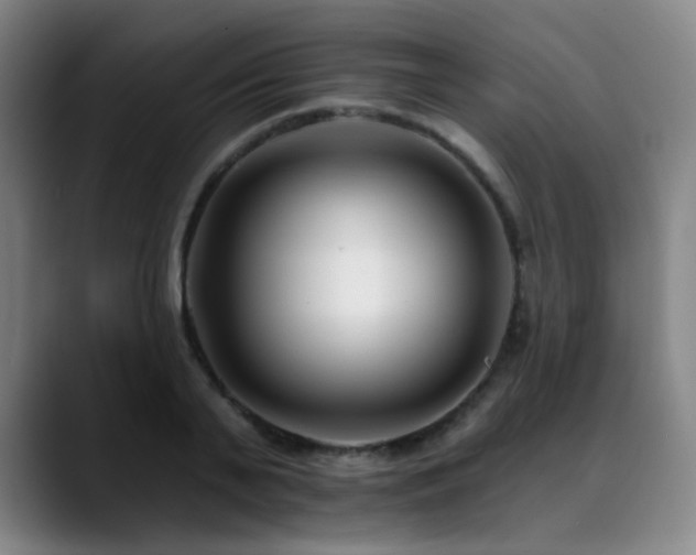 X0000089440791200706151413