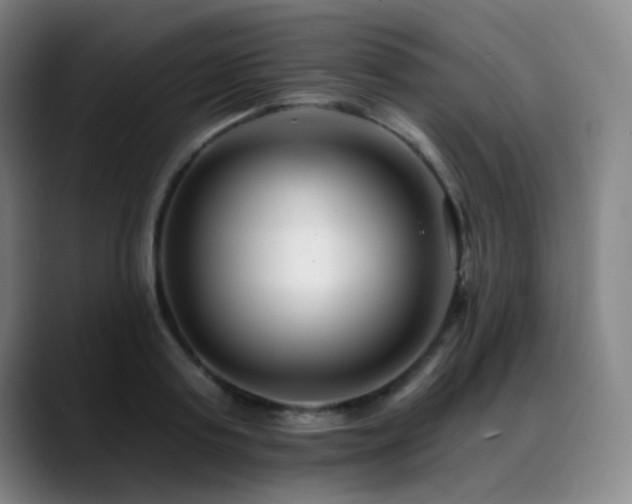 X0000089440795200706151412