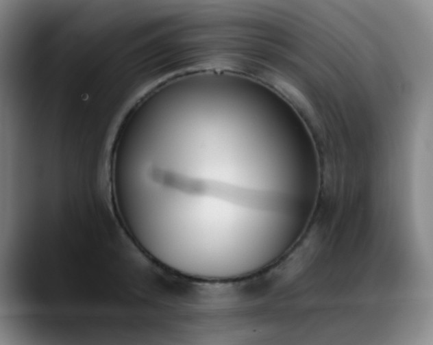 X0000089440800200706151412