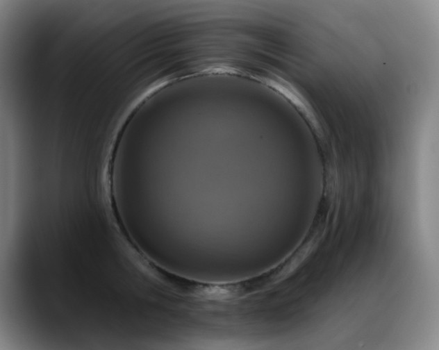 X0000089440806200706151412