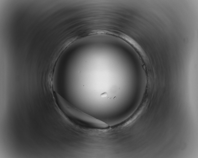 X0000089440809200706151412