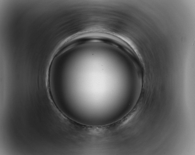 X0000089440815200706151412
