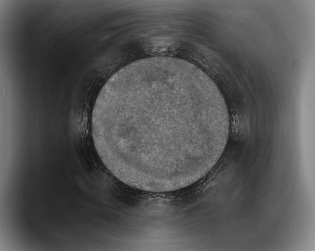 X0000089440820200706151412