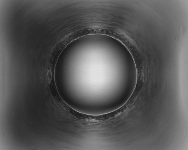 X0000089440821200706151412