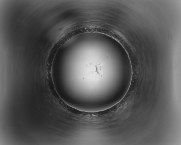 X0000089440823200706151412