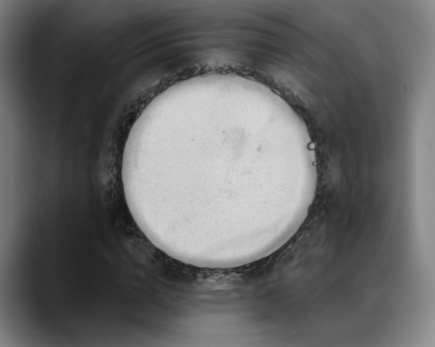 X0000089440824200706151412