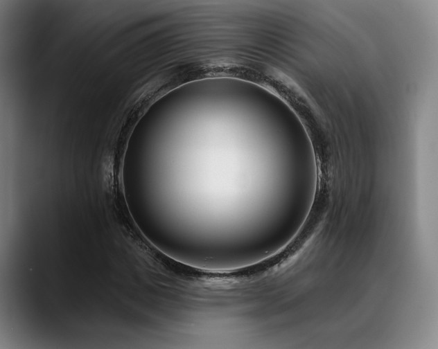 X0000089440825200706151412