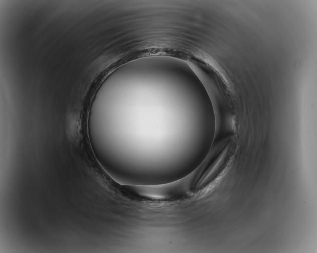 X0000089440826200706151412