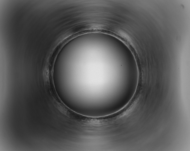 X0000089440827200706151412