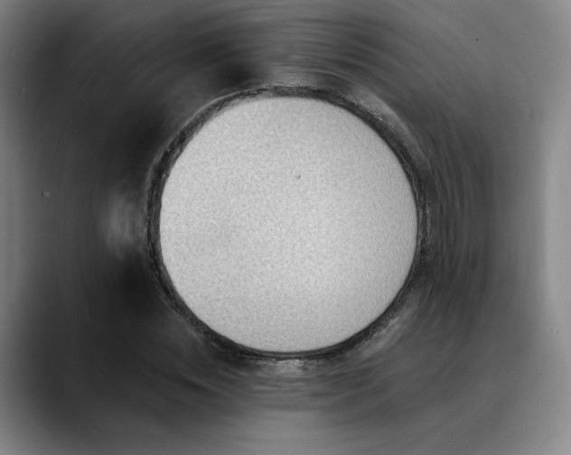 X0000089440828200706151412