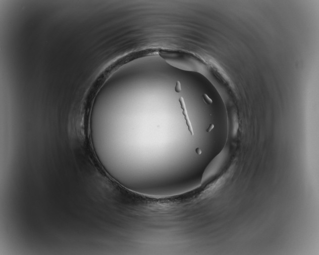 X0000089440830200706151412