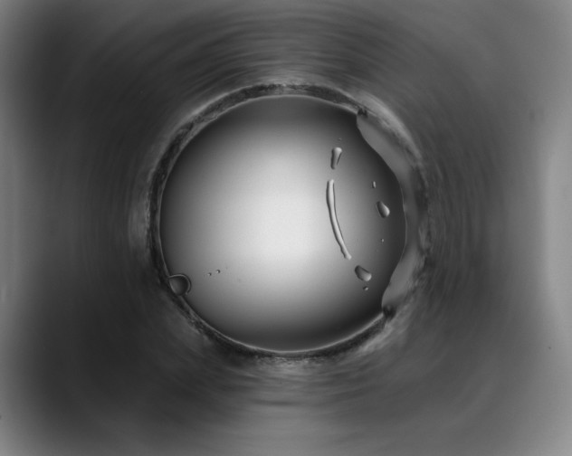 X0000089440831200706151412