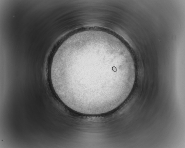 X0000089440832200706151412