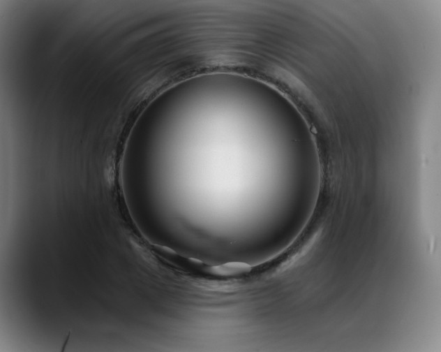 X0000089440833200706151412