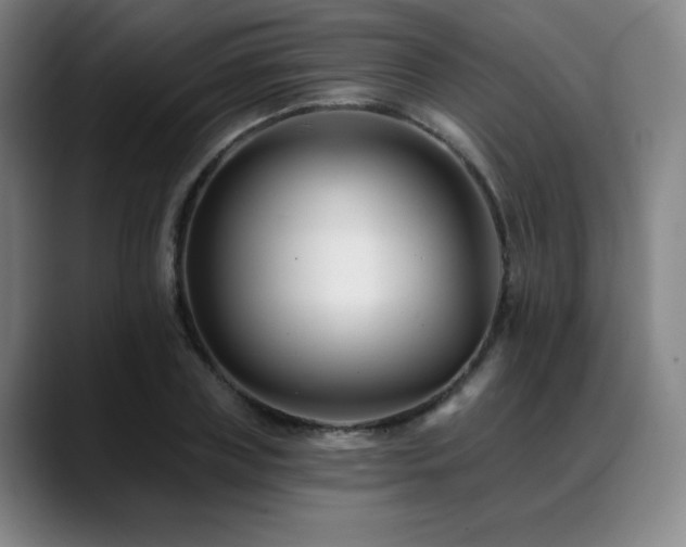 X0000089440835200706151412