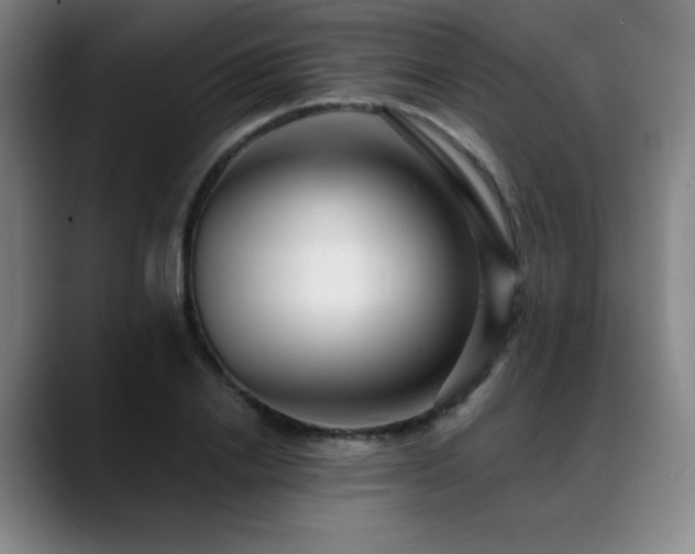 X0000089440838200706151412